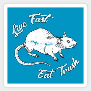 Life Fast & Eat Trash Sticker
